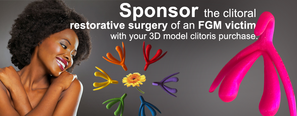 3d clitoris model